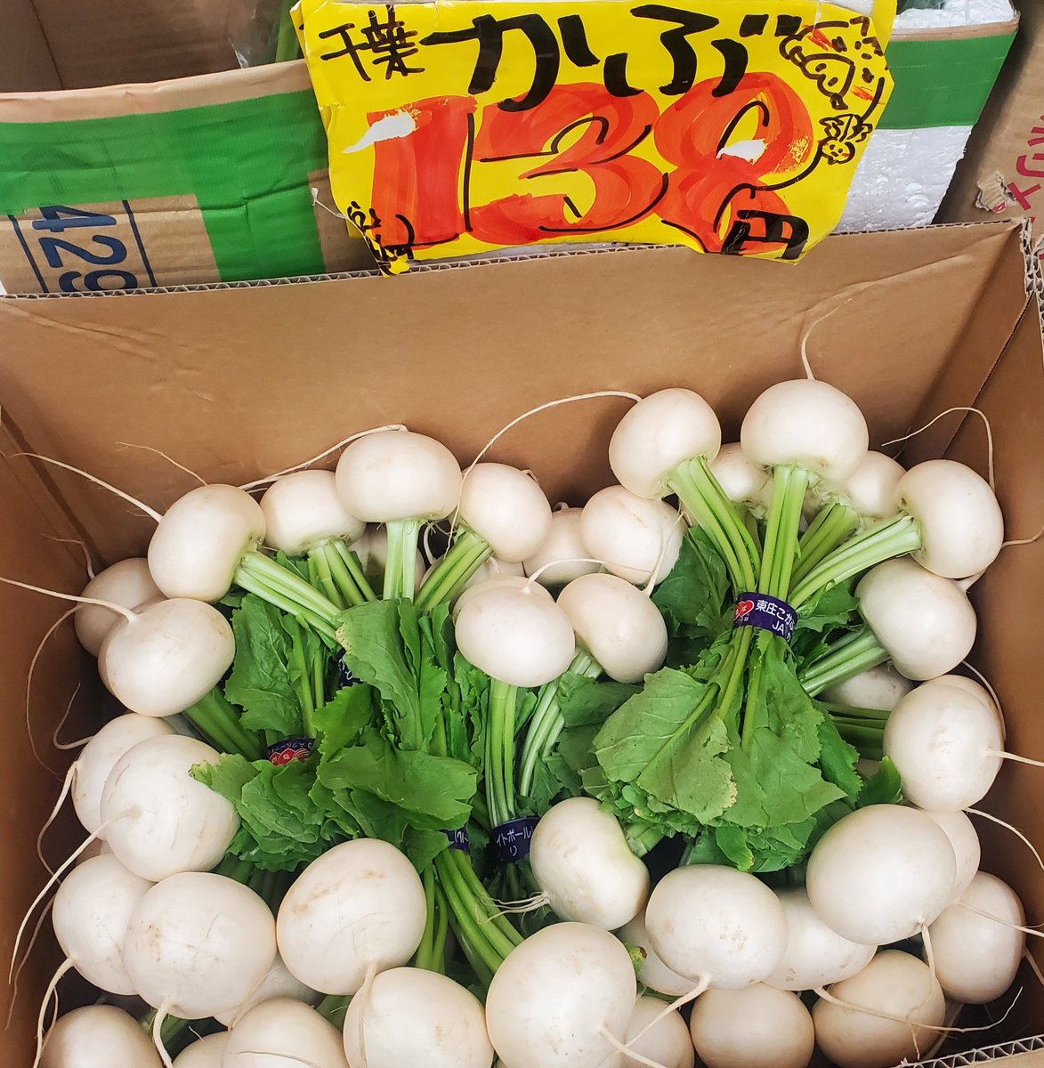 けぇ【 毛 634580】 tweet media