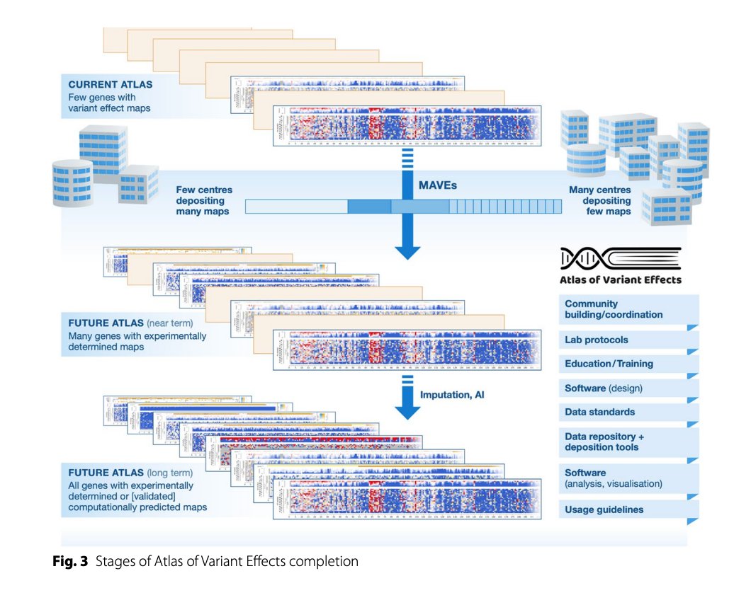 An Atlas of Variant Effects to understand the genome at nucleotide resolution | Genome Biology
genomebiology.biomedcentral.com/articles/10.11…

#genomics