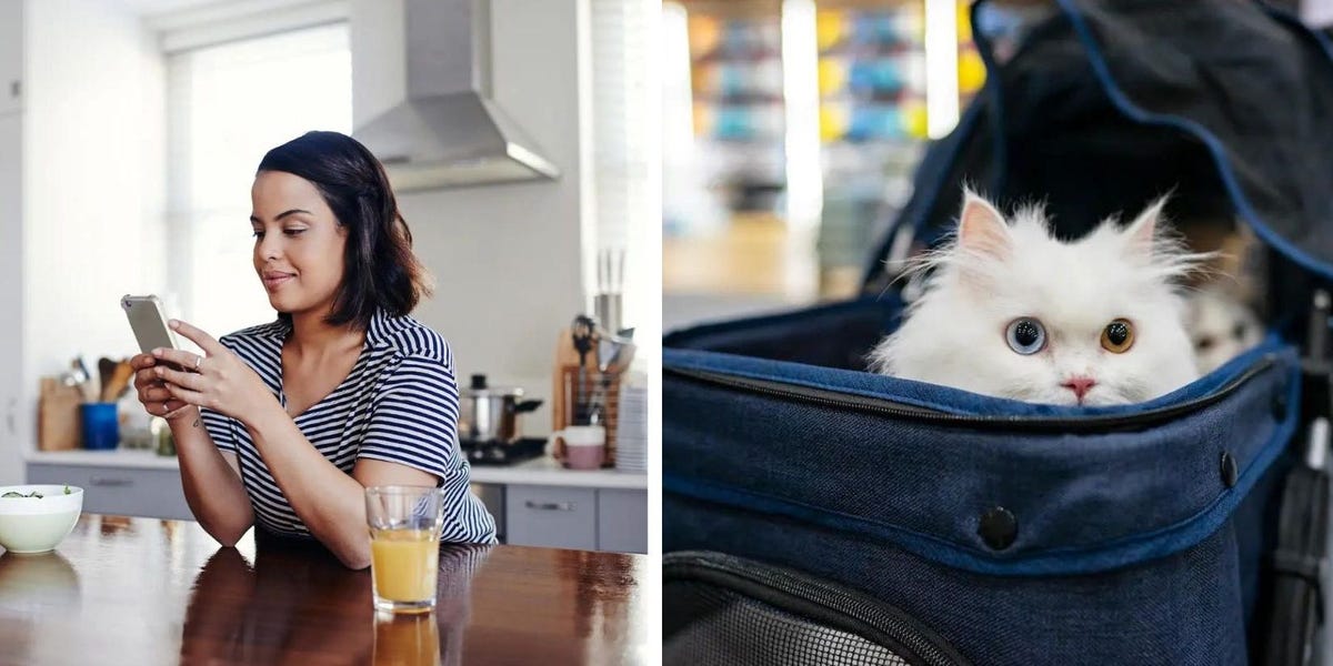 AccelerList's tweet image. Amazon reveals the top-selling item during its Prime Day extravaganza: Temptations cat treats. buff.ly/3Dd1nEq