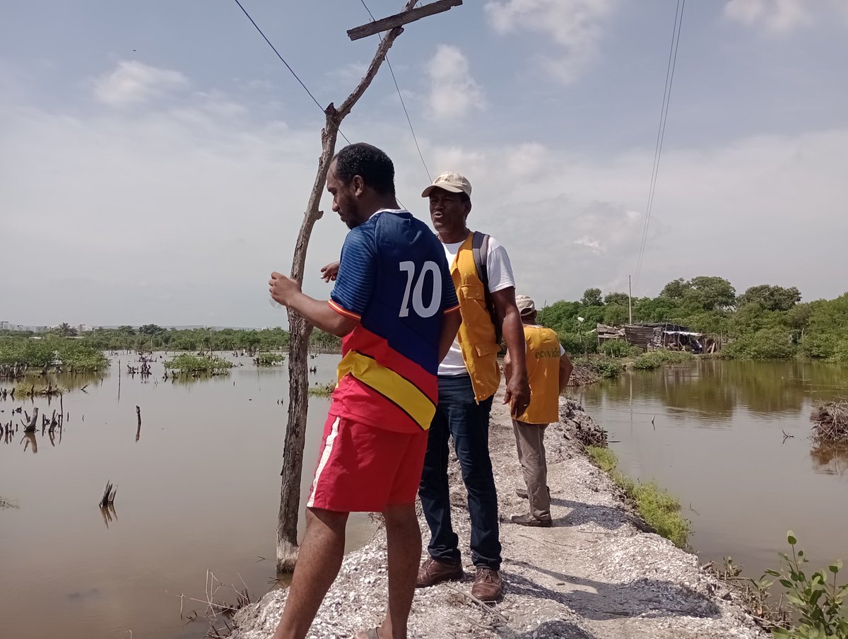 jennyteas's tweet photo. Fantastic day learning about communities restoring mangroves in Cartagena. #reforestation #grassroots #defendoresdelanaturaleza https://t.co/fCuHKsEBQ3