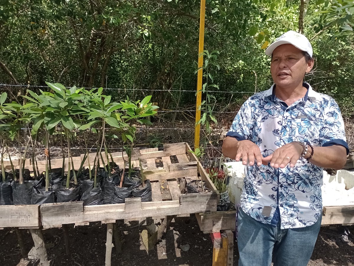 jennyteas's tweet photo. Fantastic day learning about communities restoring mangroves in Cartagena. #reforestation #grassroots #defendoresdelanaturaleza https://t.co/fCuHKsEBQ3