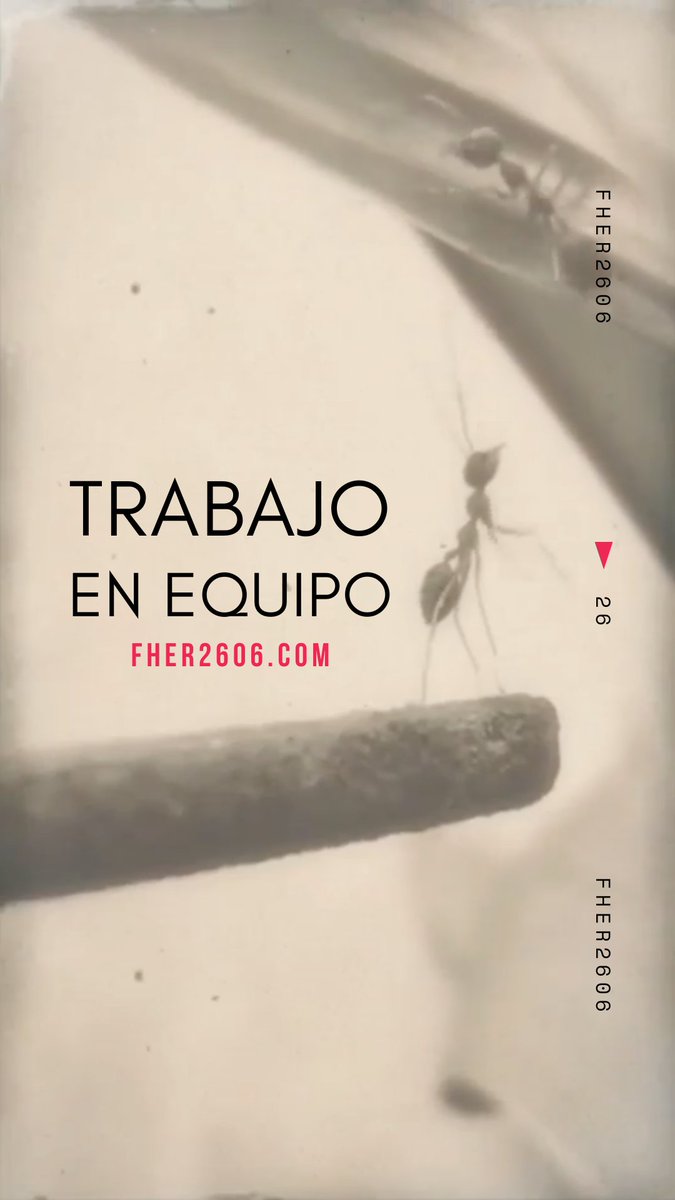 Fher2606's tweet photo. Trabajar en equipo, nos hace más productivos, nos inspira al alto desempeño y nos encamina al éxito. - @fher2606

#fher2606 #coaching #leadership #habits #health #wellness https://t.co/SFje8hOLul