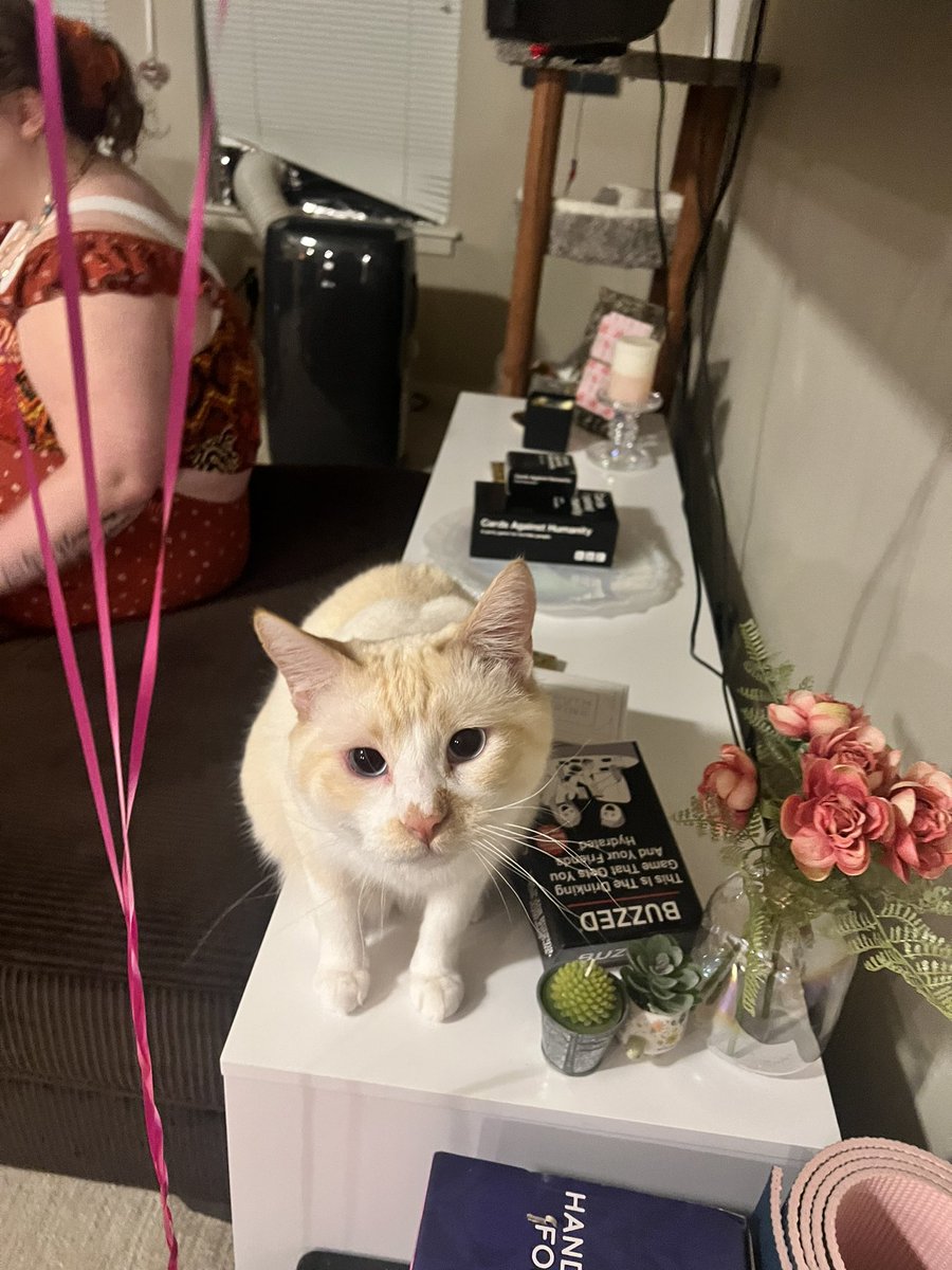 loganb1515's tweet photo. Met this ABSOLUTE BABY MAN at a party last night https://t.co/AUjyWoALPi