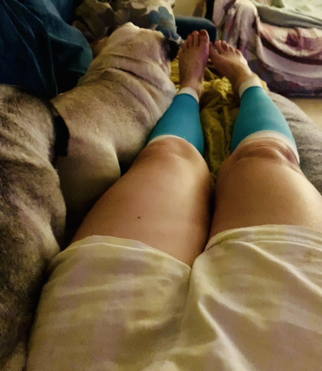 saxelbyhorses's tweet image. Pug assisted recovery! 

#endurancecycling 
#pugsoftwitter