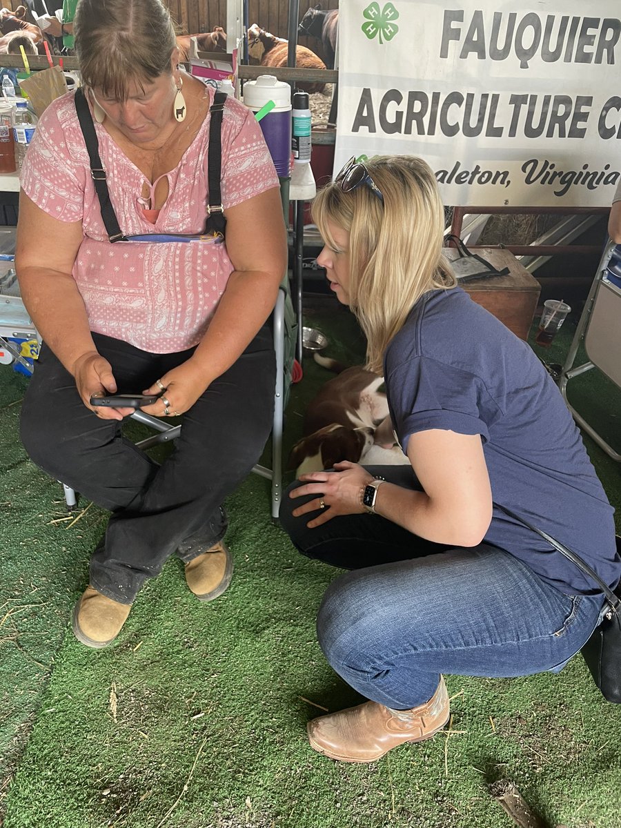 RussetPerry's tweet photo. #fauquiercountyfair #futurefarmersofamerica #4hkids https://t.co/18COLkB2iU