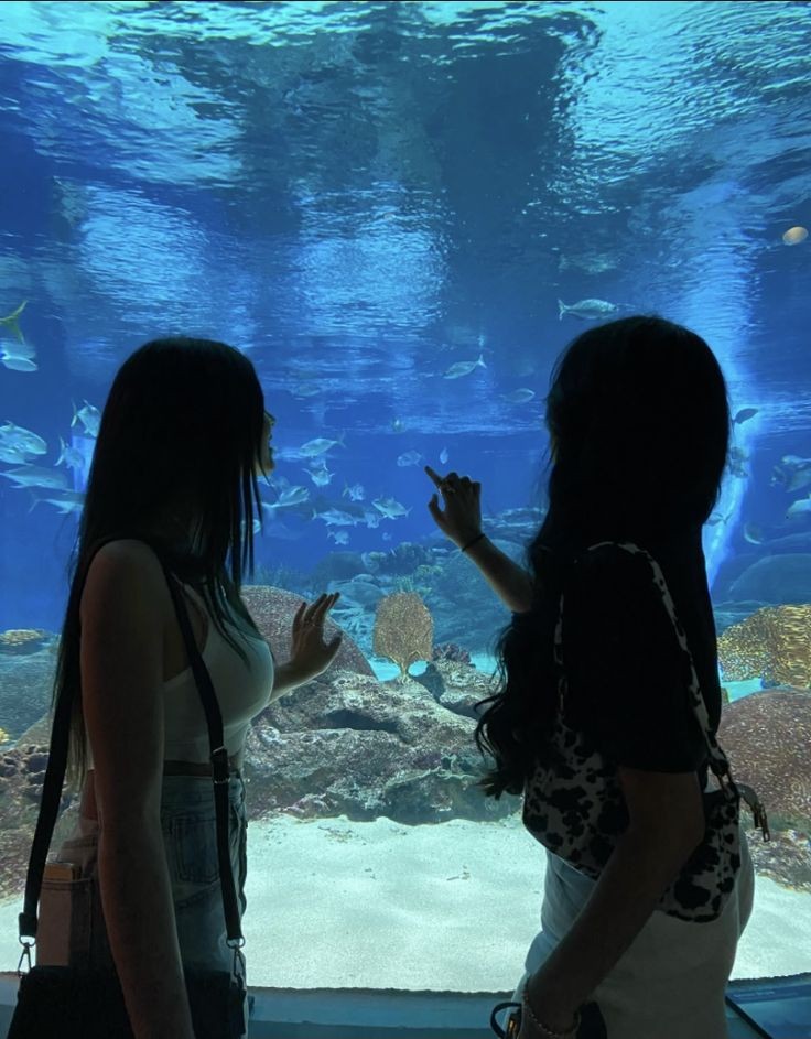 lesbicas tweet media