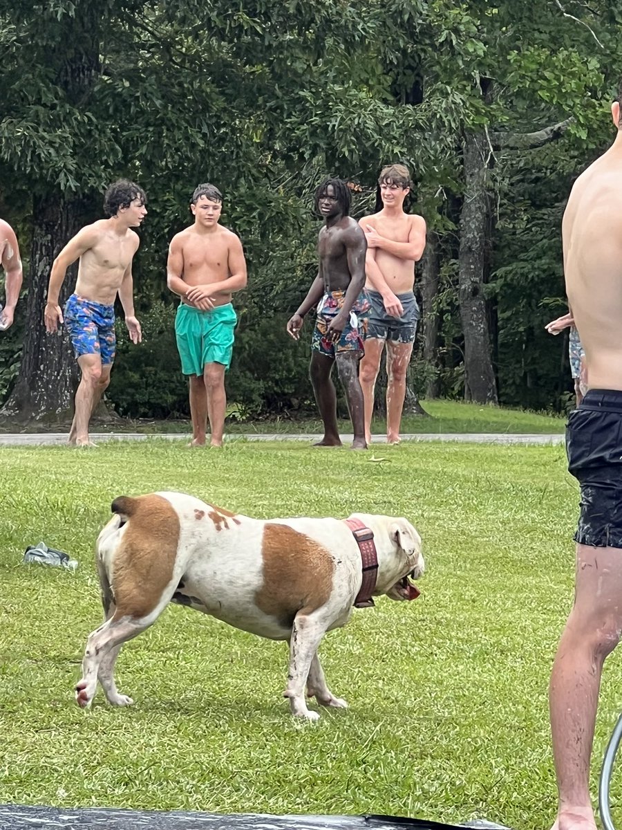 Coach Williams tweet media