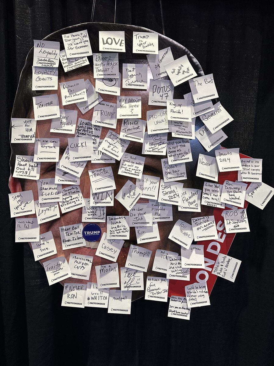 Laura Loomer tweet media