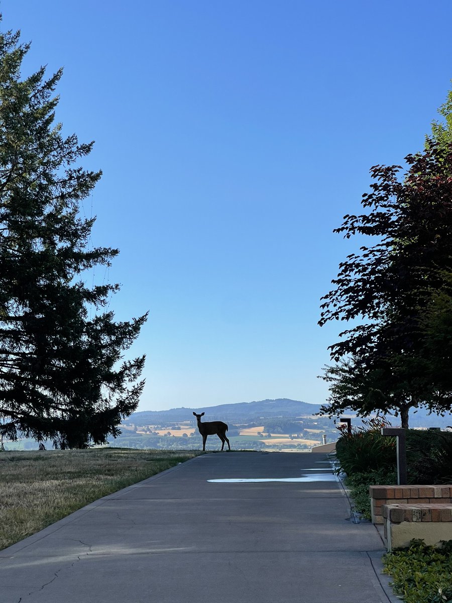 Sometimes the view on campus is so great it doesn’t seem real! 🦌 ❤️