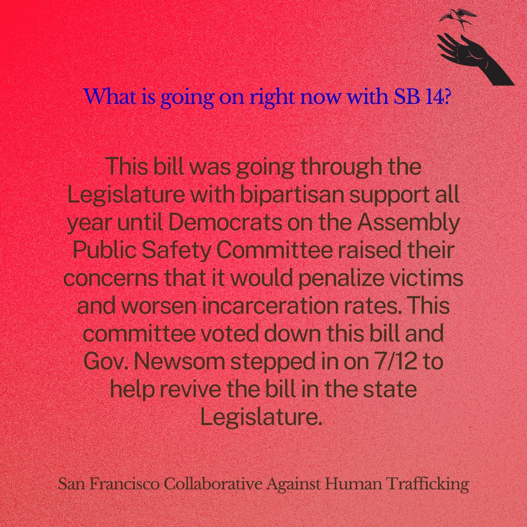 SFCAHT's tweet photo. Learn about the current state of SB14.  

#statelegislation #education #policy #learning #SB14 #policylearning https://t.co/hUrHtpnBu8