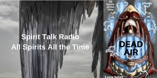 When Max and Jeremy buy an antique radio, they get more than just a conversation piece. On talk show Second Chance, fans can finally make peace--with the dead. tinyurl.com/yyv8b5tk #LGBTQ #UrbanFantasy #Supernatural #WolfPackAuthors