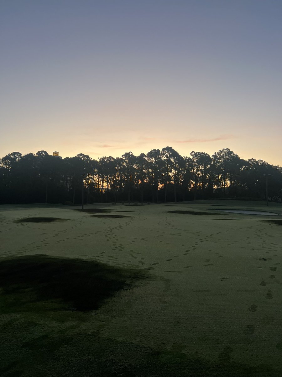 walker_bailey's tweet photo. Team worked hard this week during aerification week and results are showing. Not a bad view either! @FSOrlando https://t.co/gQBUZuewTF