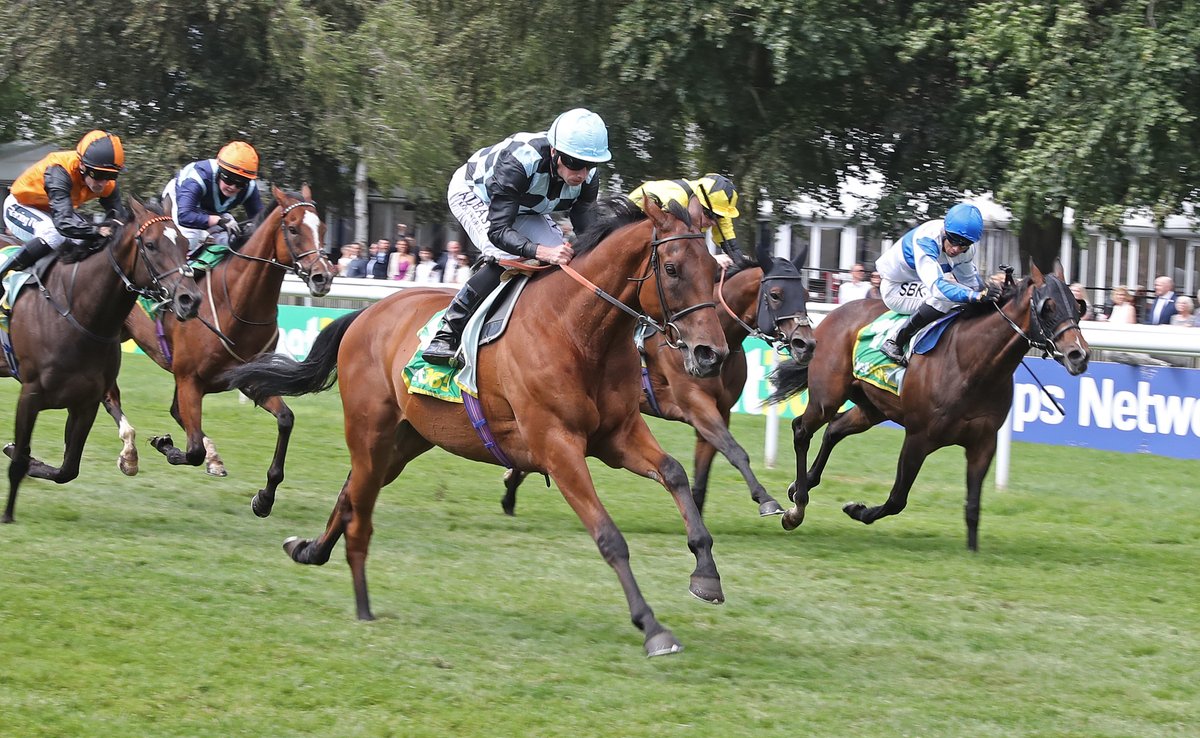 SaracenTB's tweet photo. 💫 Congratulations on another win by BIGGLES in the Bunbury Cup at @NewmarketTrain to trainer @RalphBeckett and his team at Kimpton Down Stables.

Well done to all connections!
#FeedtheDifference #RacedonSaracen #FeedingAthletes #RecipeforSuccess

📸 @deborahburt1
