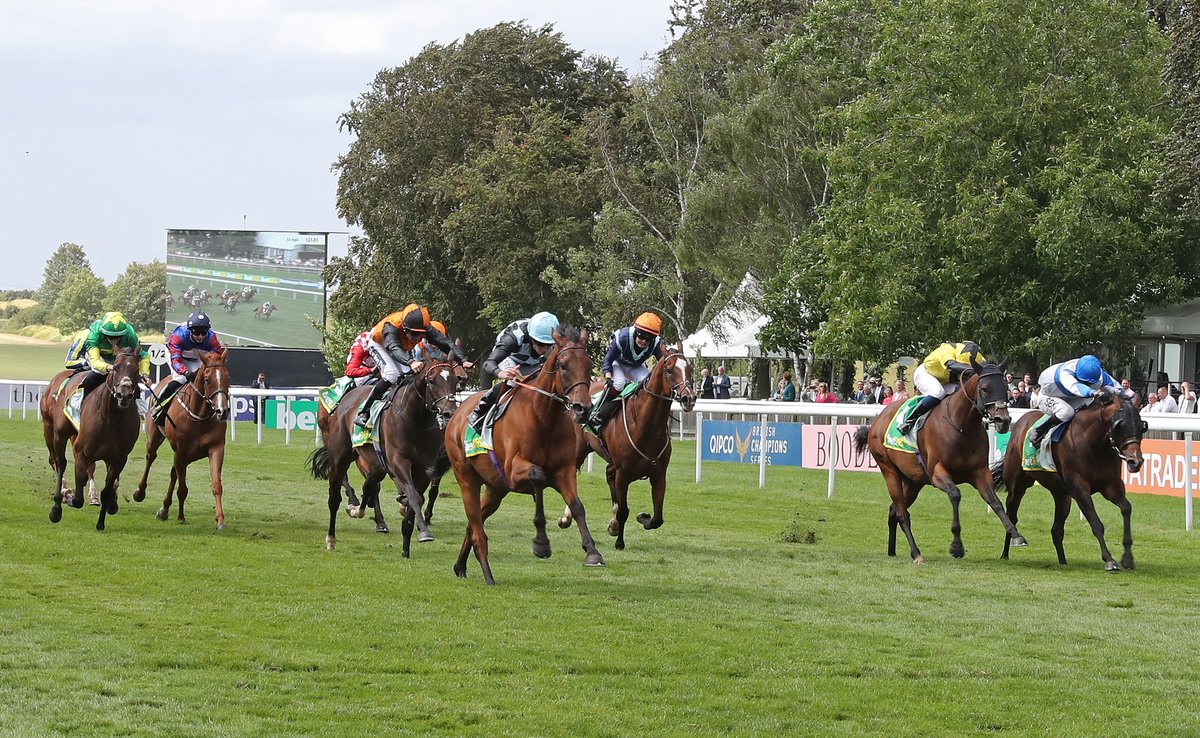 SaracenTB's tweet photo. 💫 Congratulations on another win by BIGGLES in the Bunbury Cup at @NewmarketTrain to trainer @RalphBeckett and his team at Kimpton Down Stables.

Well done to all connections!
#FeedtheDifference #RacedonSaracen #FeedingAthletes #RecipeforSuccess

📸 @deborahburt1