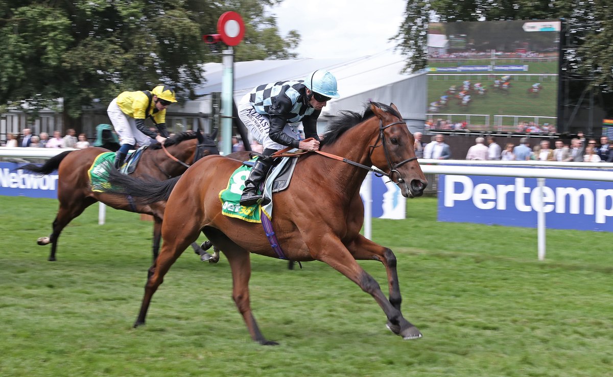 SaracenTB's tweet photo. 💫 Congratulations on another win by BIGGLES in the Bunbury Cup at @NewmarketTrain to trainer @RalphBeckett and his team at Kimpton Down Stables.

Well done to all connections!
#FeedtheDifference #RacedonSaracen #FeedingAthletes #RecipeforSuccess

📸 @deborahburt1