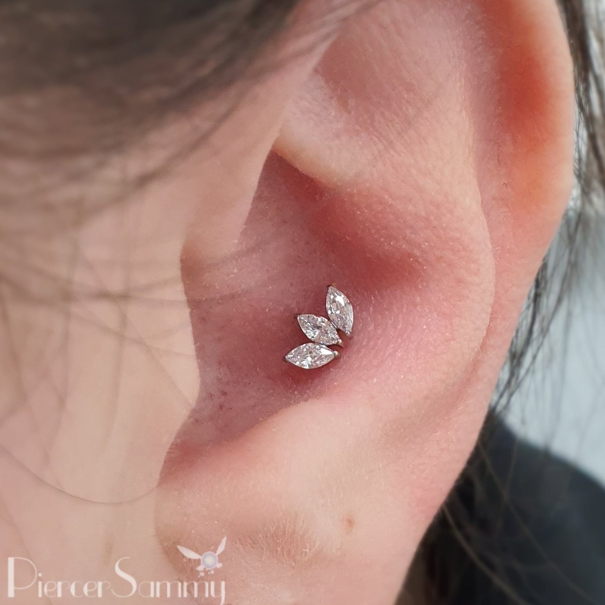PiercerSammy's tweet photo. Helped my first client of the day yesterday pick out a piece for her pre-existing conch piercing 💁🏻‍♀️✨️

Snug as a bug in a rug 🕊 https://t.co/MmDaN3GxaF