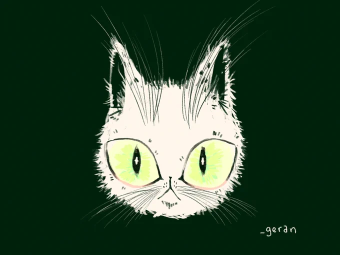drew som cats :3