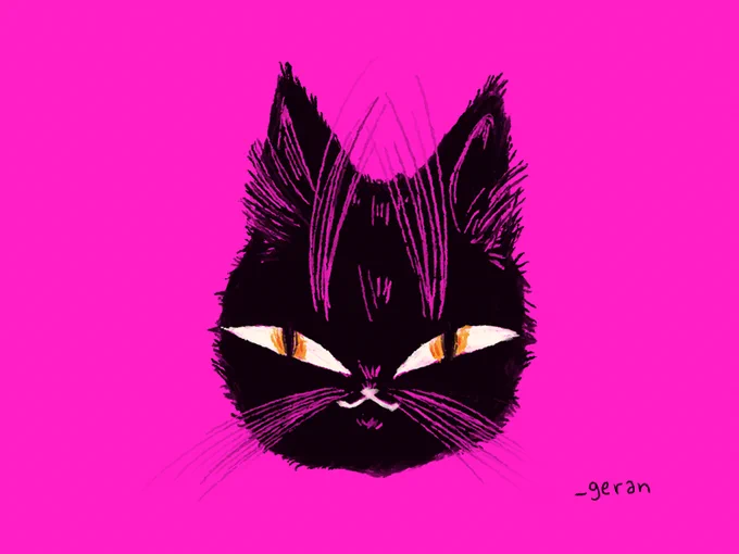 drew som cats :3