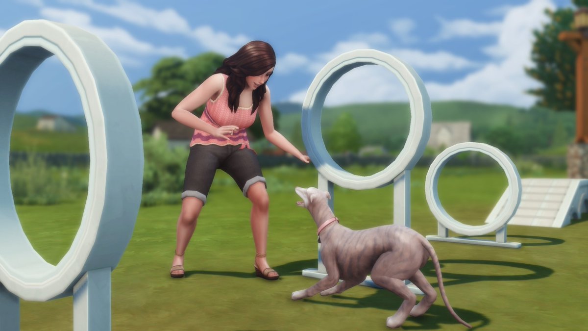 365inmay's tweet photo. bonding with animals 
#TheSims4 #catsanddogs #cottageliving https://t.co/o56DYo0iqB