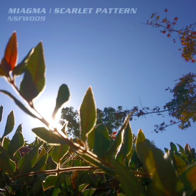 MusicLandria's tweet photo. New MusicLandria Radio Adds. LinkTree https://t.co/jzj0weBj71