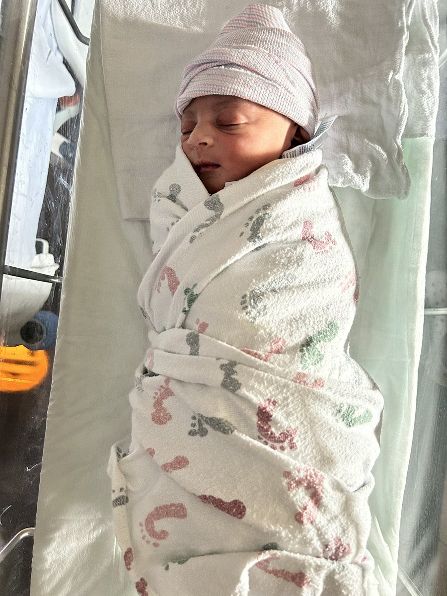 Stephen Buckner Jr. tweet media