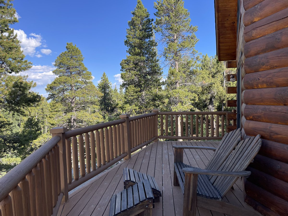 EmudyMoody's tweet photo. Colorado mountains are breathtaking …
🌲 🌲 🌳🌳 🌲🌲🌳🌳🌲🌲🌳🌳
#GreenLegacy let’s build cabins in #Wonchi #Oromia, #Ethiopia https://t.co/W8UKDIKB3w