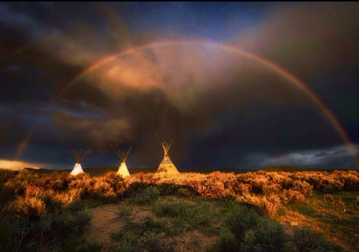 Lakota Man tweet media