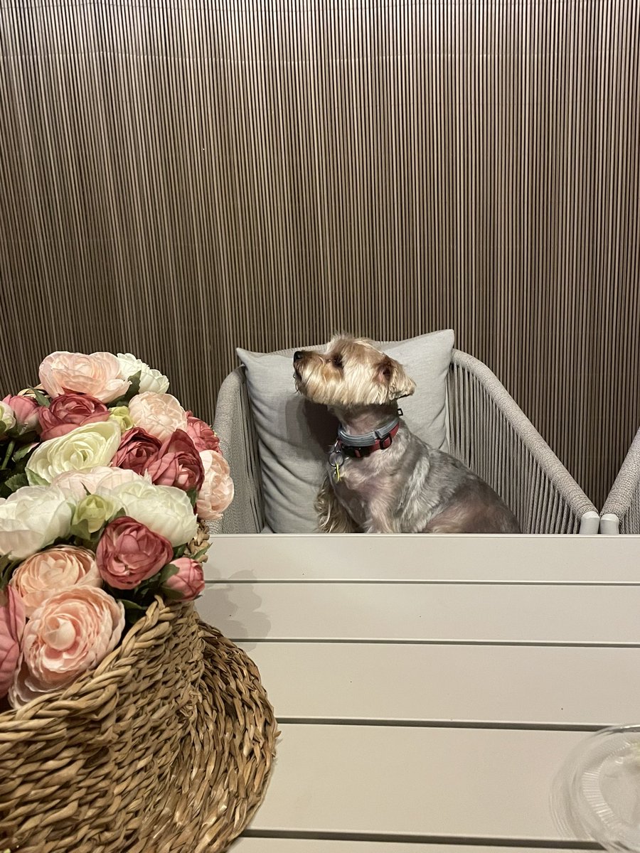 Nico Aguirre (@nicoaguiirre_) on Twitter photo 