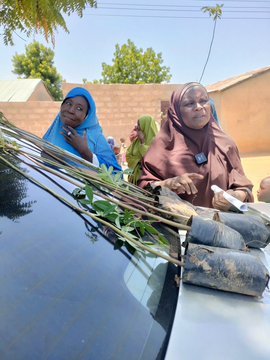 thebolahgirl's tweet photo. 💪💚 With their unwavering spirit, @thebolahgirl in collaboration with @Hashim @eei_nig #FUBI #VILDEV supported these amazing women to plant 200 cotton trees (Bishiyan Rimi) to serve a dual purpose: mitigating floods and providing sustainable livelihoods. https://t.co/FYyxktOOHs