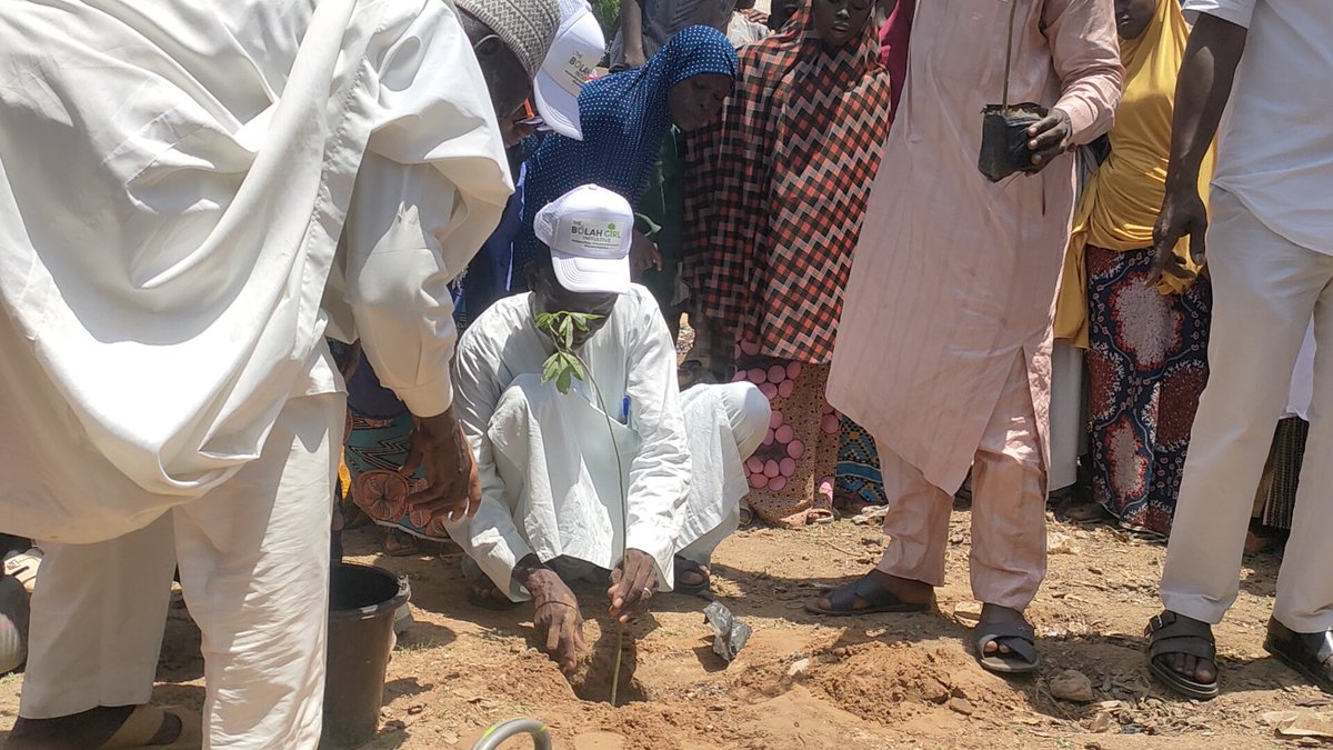thebolahgirl's tweet photo. 💪💚 With their unwavering spirit, @thebolahgirl in collaboration with @Hashim @eei_nig #FUBI #VILDEV supported these amazing women to plant 200 cotton trees (Bishiyan Rimi) to serve a dual purpose: mitigating floods and providing sustainable livelihoods. https://t.co/FYyxktOOHs
