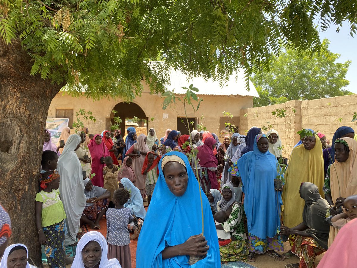 thebolahgirl's tweet photo. 💪💚 With their unwavering spirit, @thebolahgirl in collaboration with @Hashim @eei_nig #FUBI #VILDEV supported these amazing women to plant 200 cotton trees (Bishiyan Rimi) to serve a dual purpose: mitigating floods and providing sustainable livelihoods. https://t.co/FYyxktOOHs