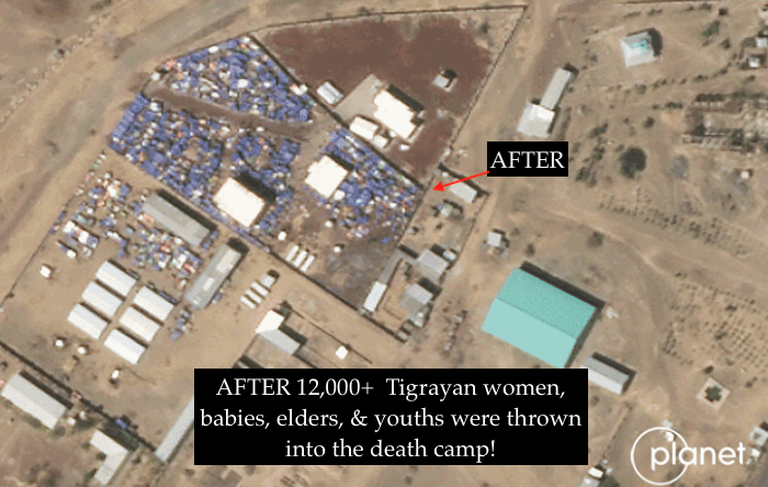 GebremeskelGeb's tweet photo. The Ethiopian + Eritrean regimes are known to have dumped 100,000s of ethnic #Tigrayans into hellish concentration camps across Ethiopia &amp; Eritrea during the #TigrayGenocide.

Over 12,000 #Tigrayans have languished at the Semera death camp. https://t.co/vlXOuHepBC