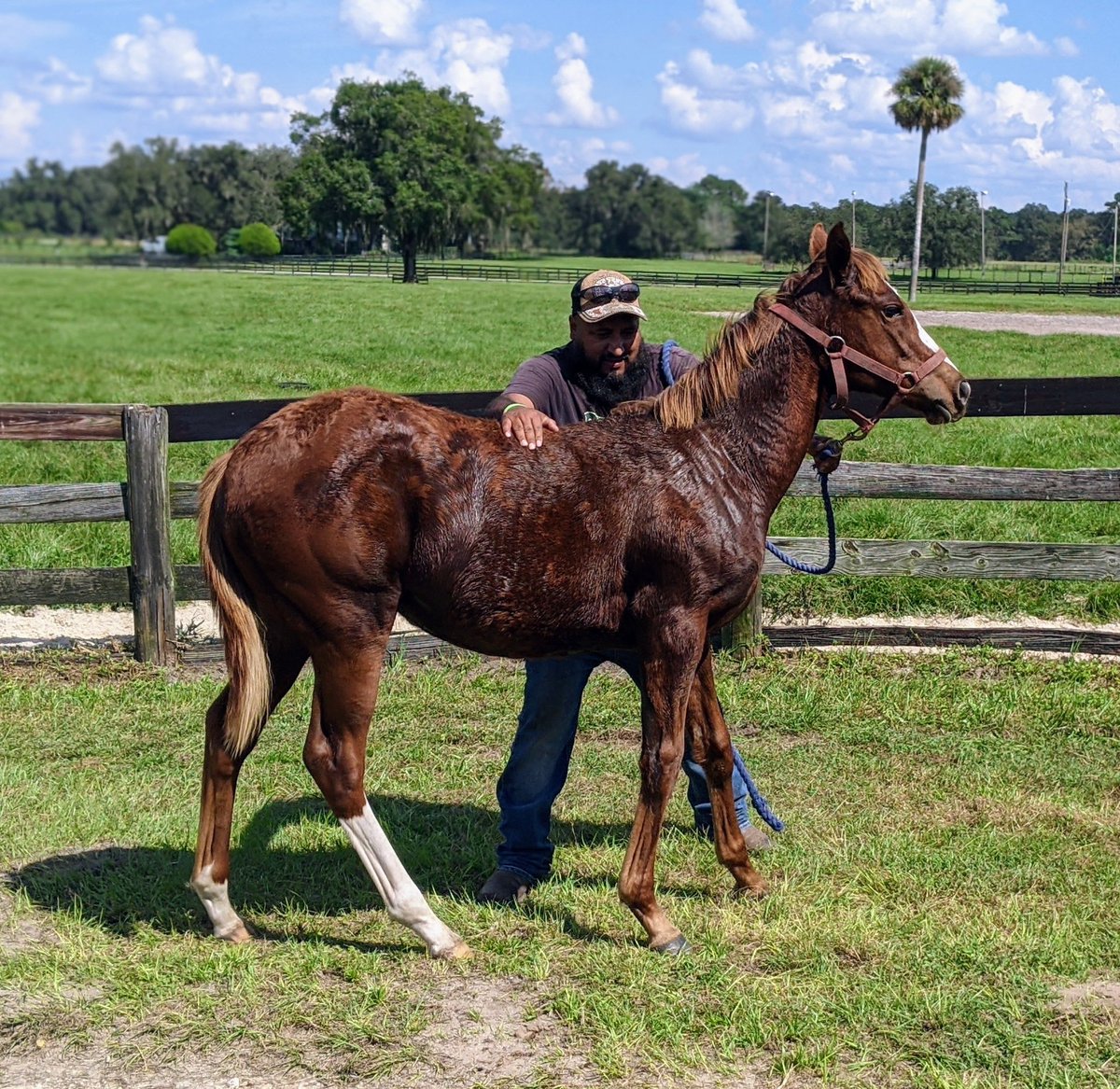 Harlan Malter tweet media