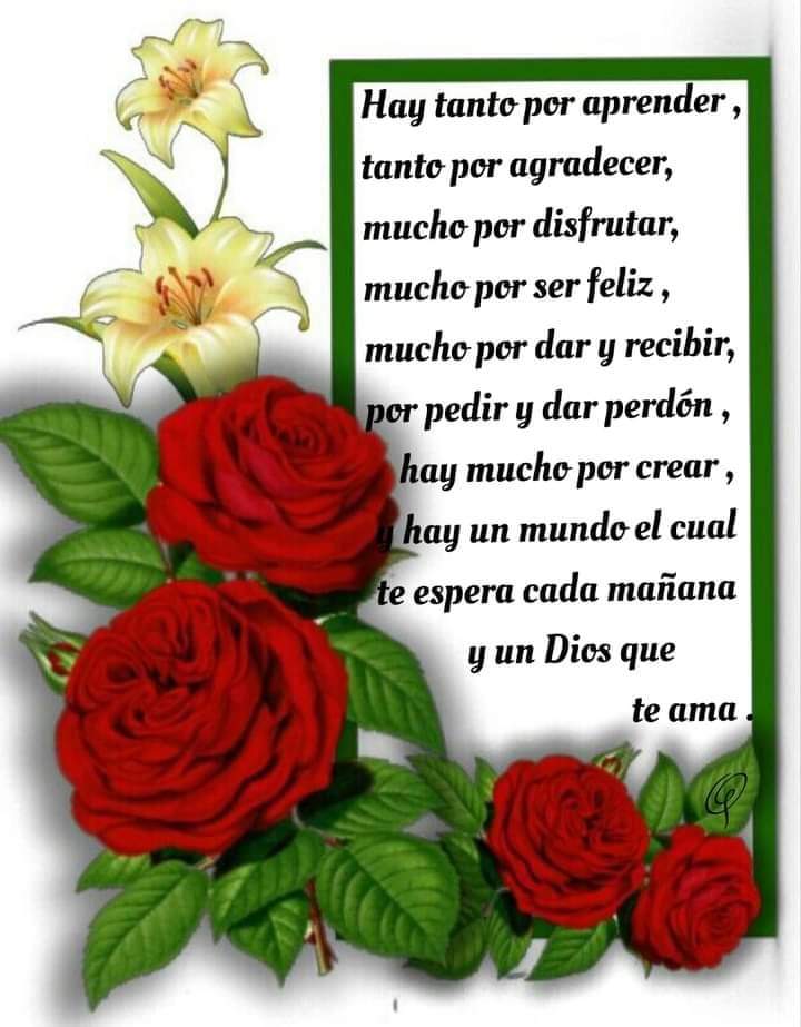 Guadalupe Garcia (@guadalugar07) on Twitter photo 