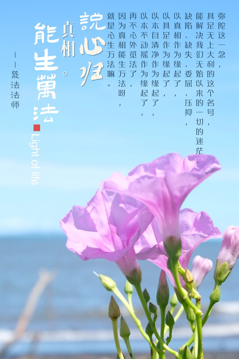 菩提眼｜慈法法师开示 (@bodhi_eye) on Twitter photo 