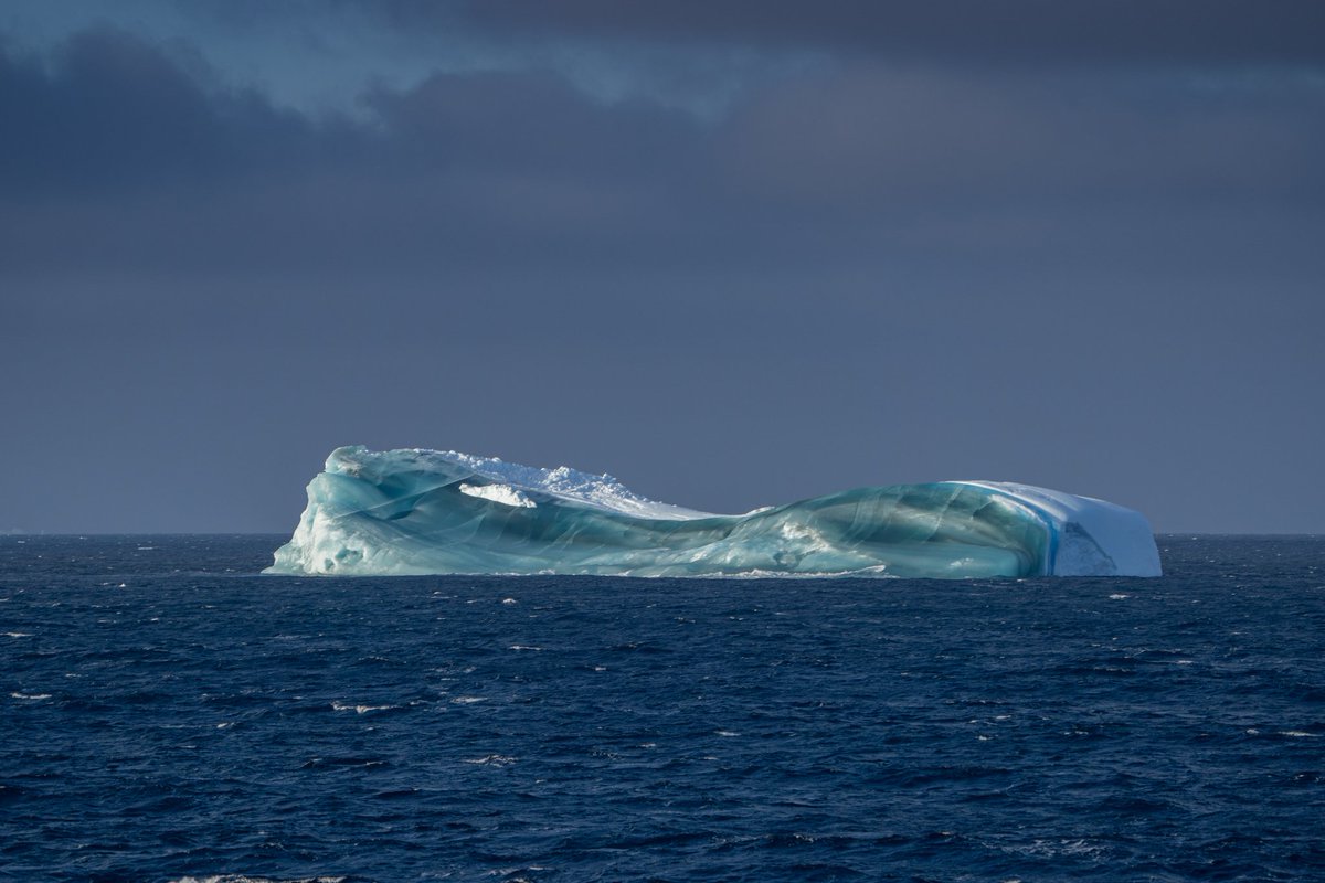 A piece of the Cornwall-sized iceberg A-76, which drifted to South Georgia after detaching from the Filchner-Ronne ice-shelf in May 2021. It looks like #marineice (red from dissolved iron from sediment &amp; blue from water = green ice)
#WinterKrillProject