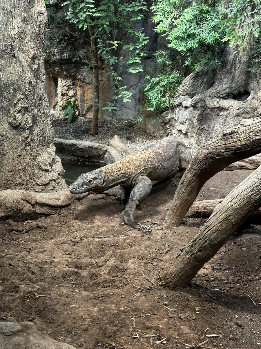 Staplehead1775's tweet photo. zoo day https://t.co/7bOlbJUn8Z