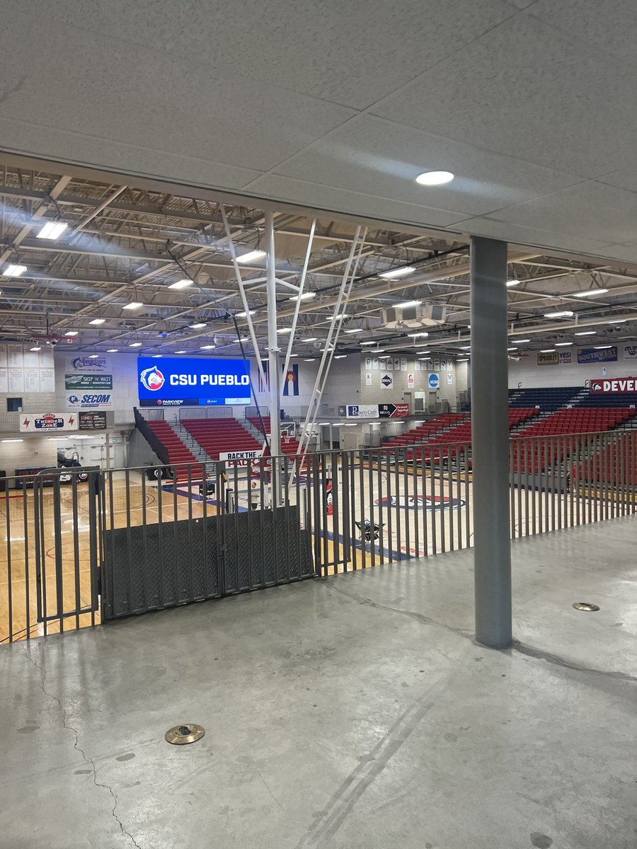 yliana almaguer tweet media