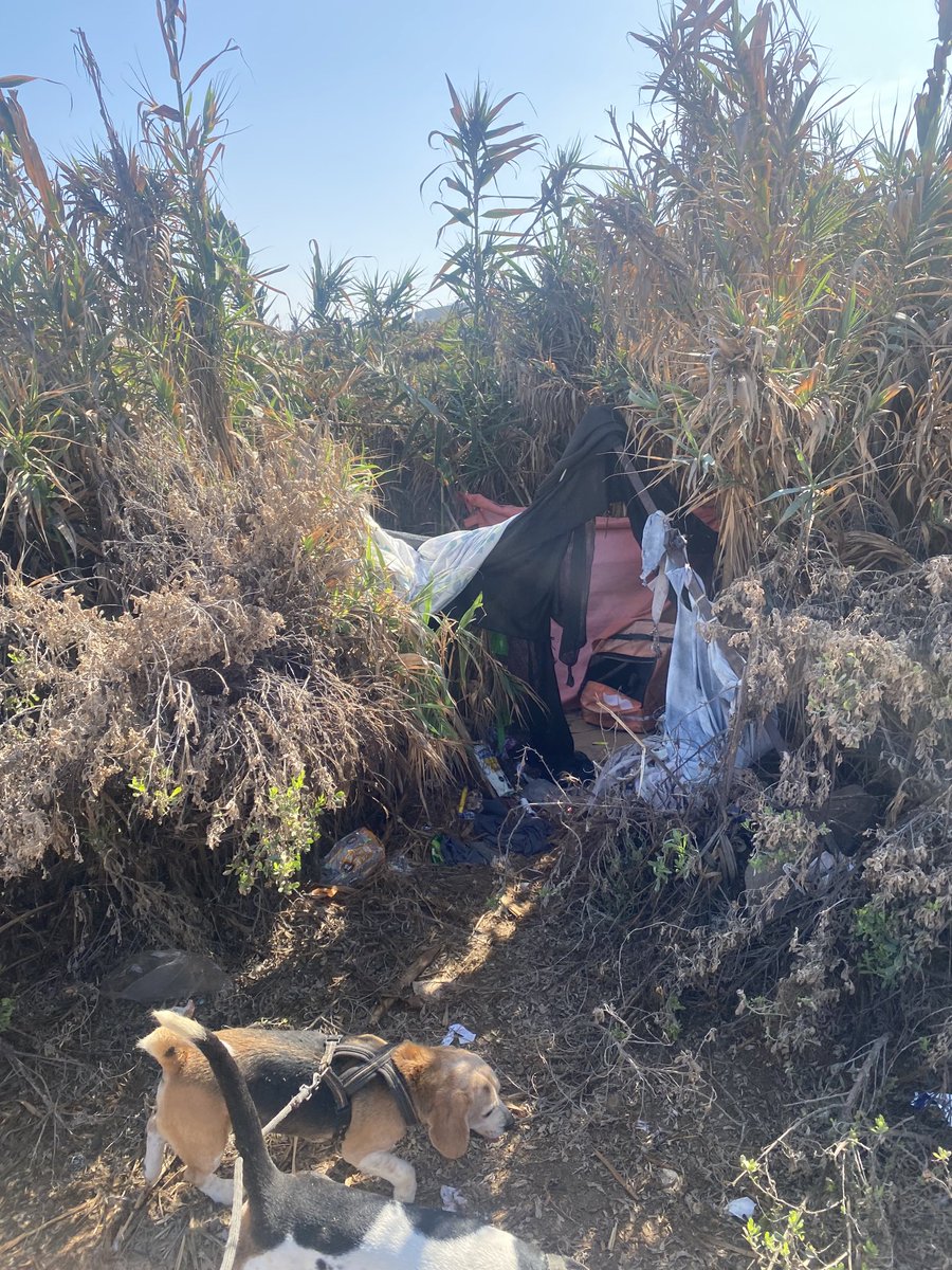 fitosantis1's tweet photo. Ruco en humedal La Chimba #Antofagasta ! lleno de basura contaminando esta área protegida. Hasta cuando con estos imbeciles https://t.co/Z4UyxUzhUy