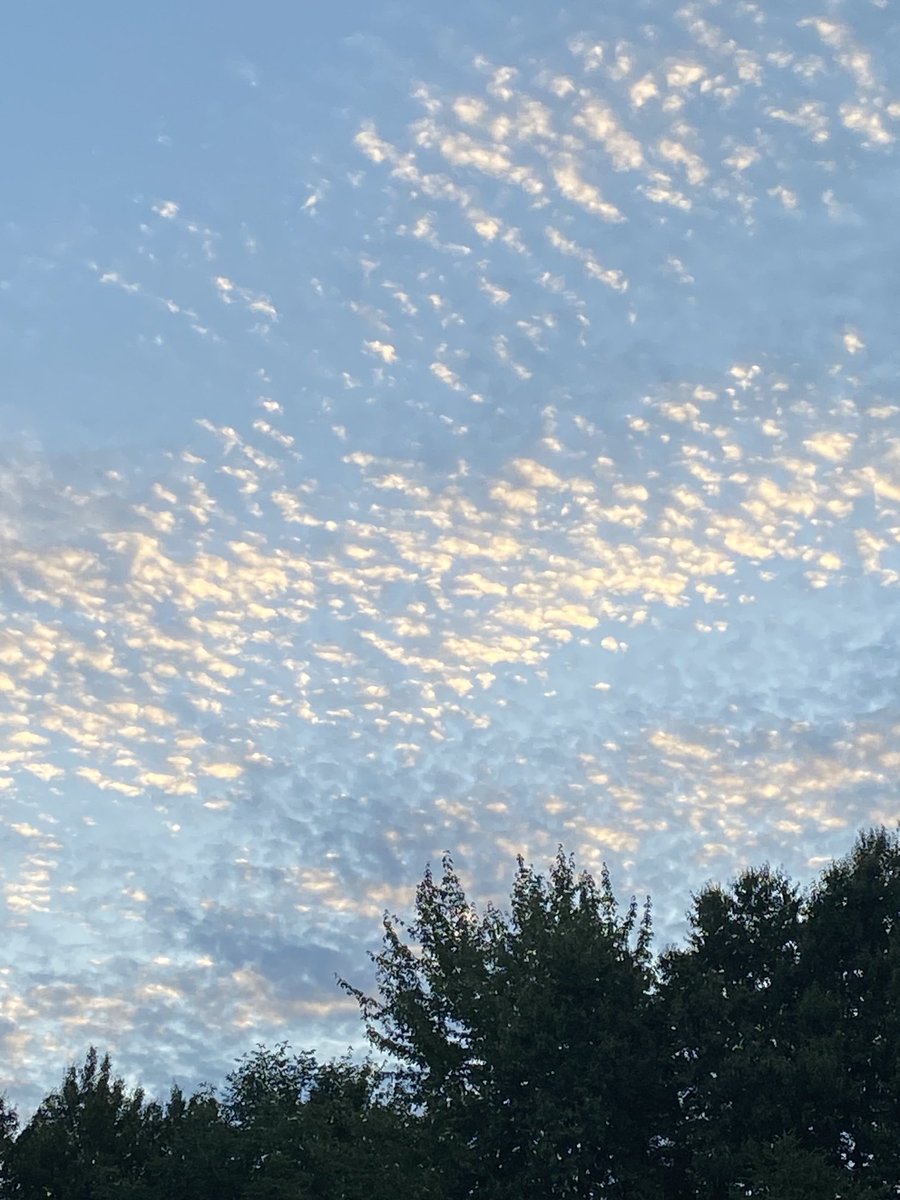 This could be a great puzzle