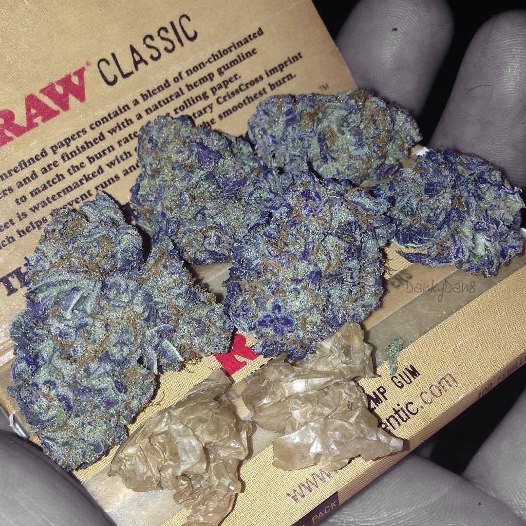 Blue Dream 🫐💭😍

#StonerFam #Mmemberville #WeedLovers #CannabisCommunity