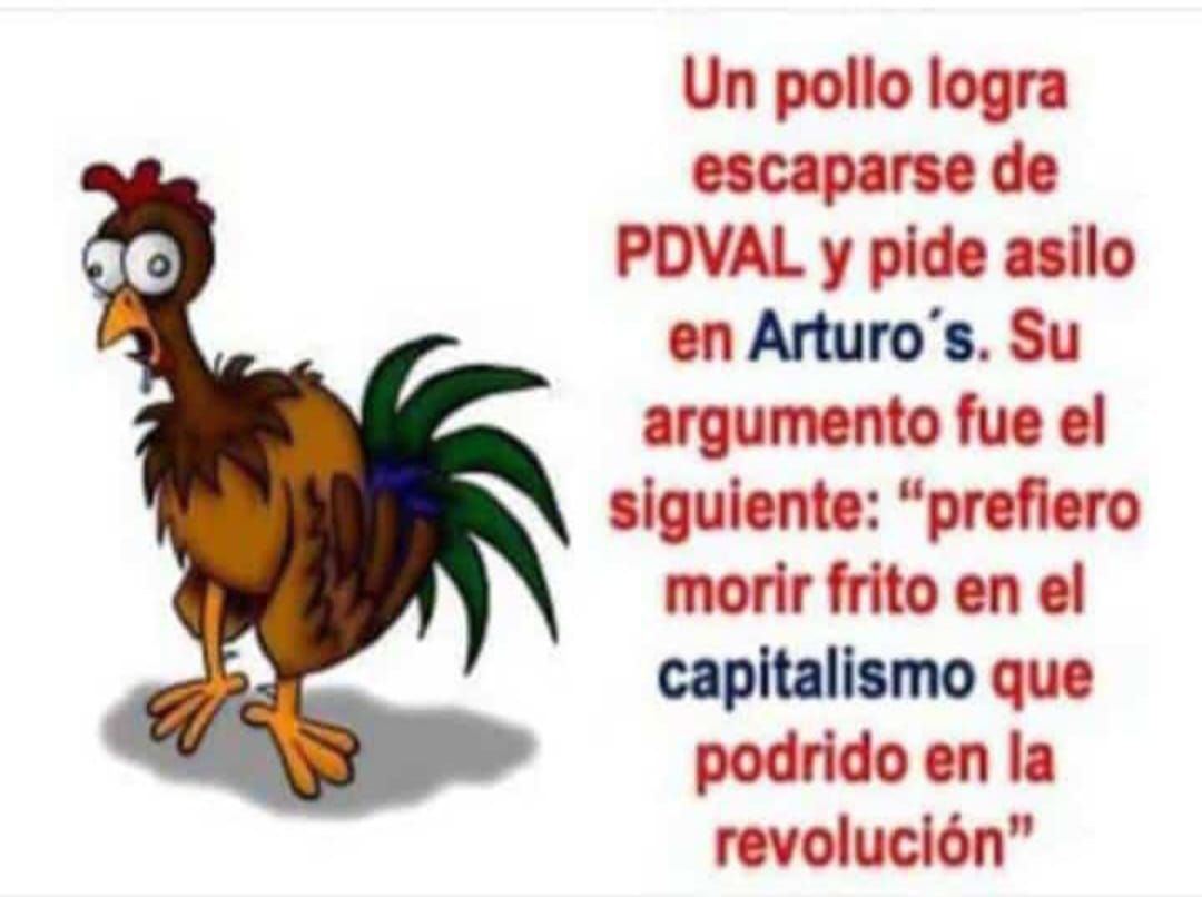 venezuelasos86's tweet photo. Reflexión del pollo https://t.co/sMhA7wfmPM