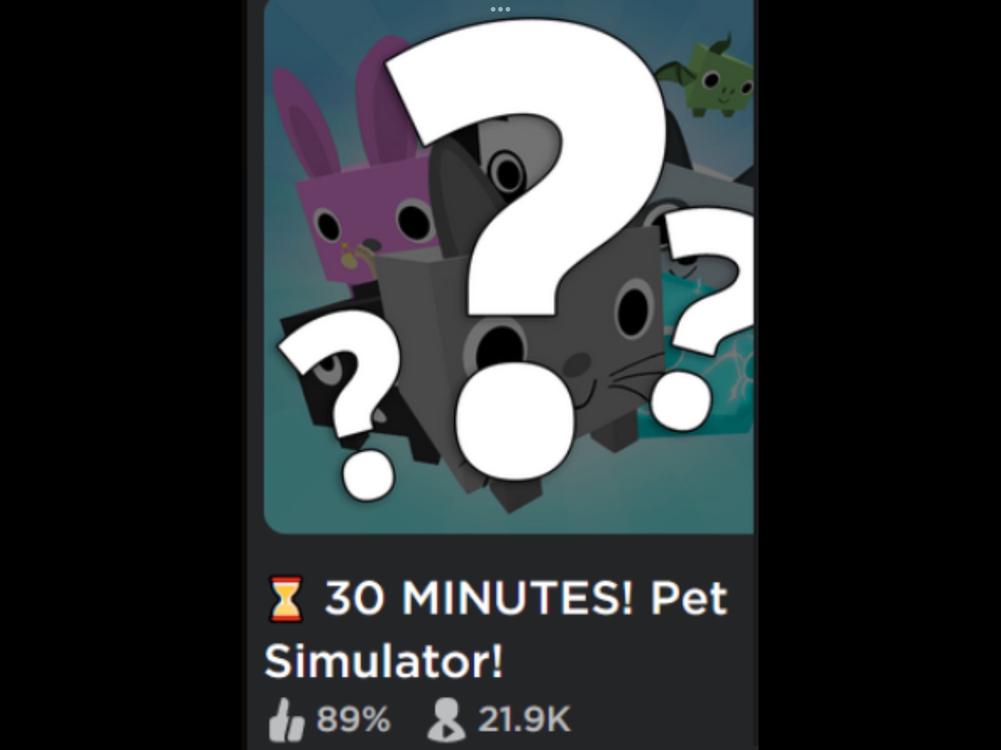 A *NEW* Pet Simulator Game Releasing VERY Soon???? 