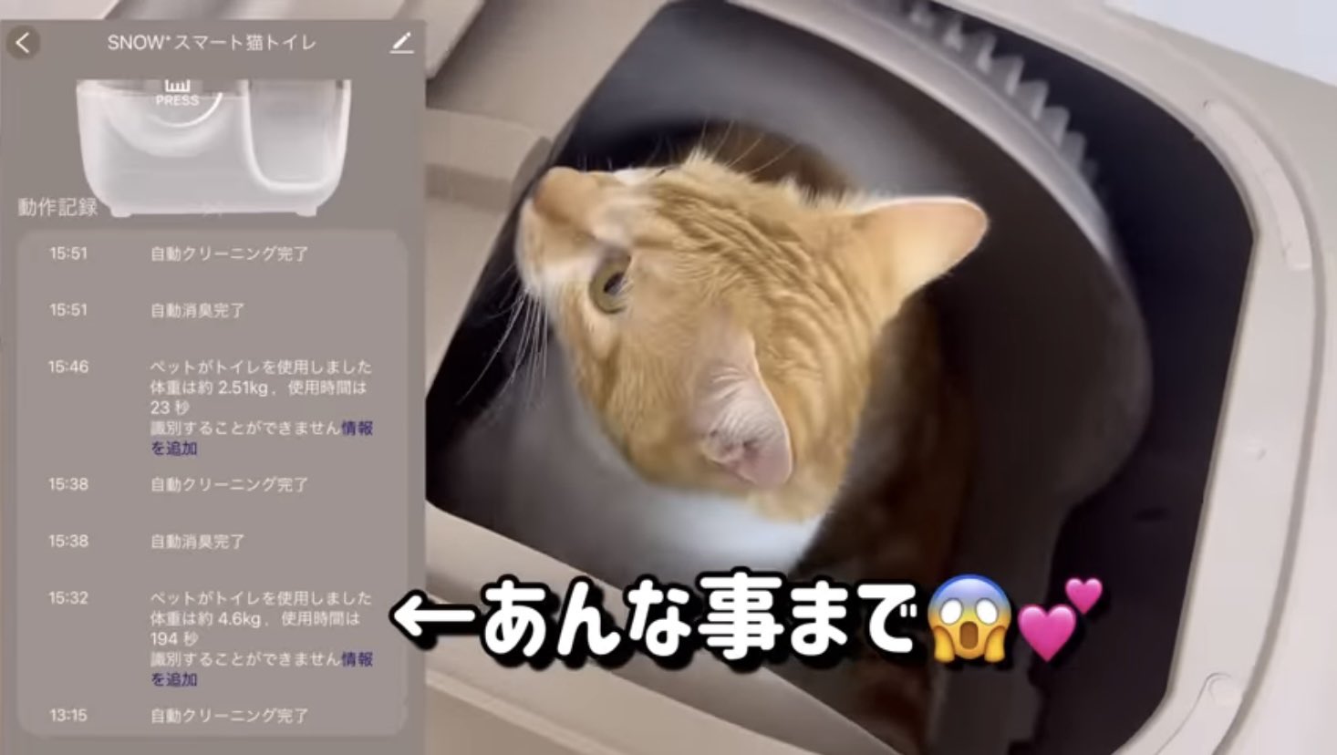 Petsnowy 猫用全自動トイレ トイレ用品 Petsnowy 猫用全自動トイレ トイレ用品