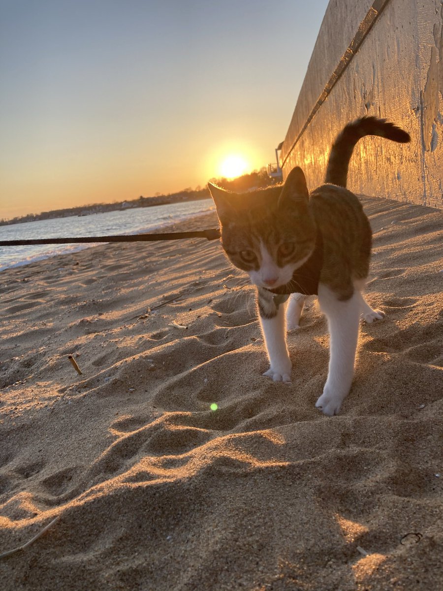 luigi.tweak.eth 🦴 tweet media