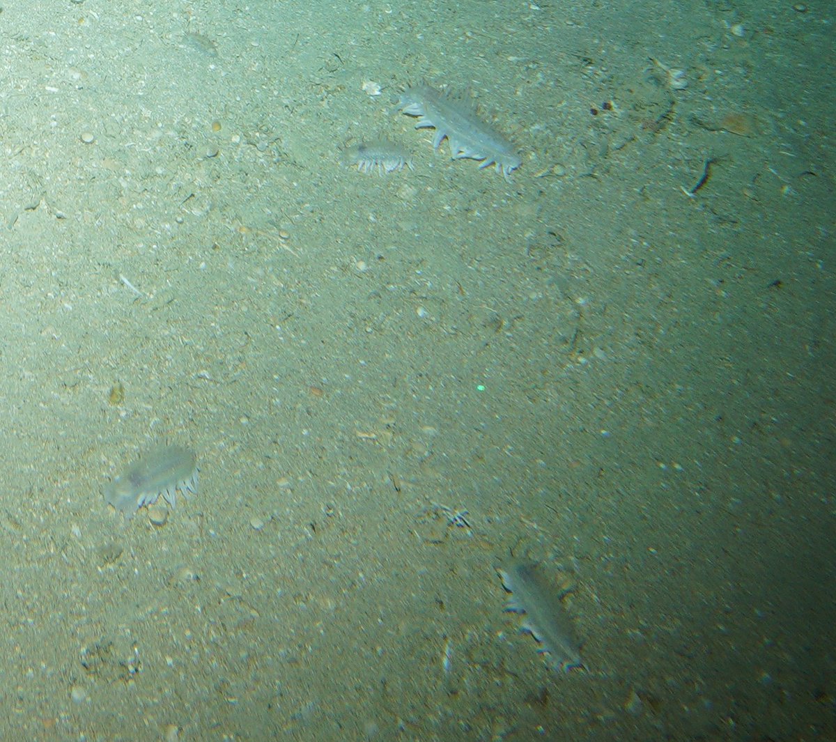 Lorne Richard Little tweet media