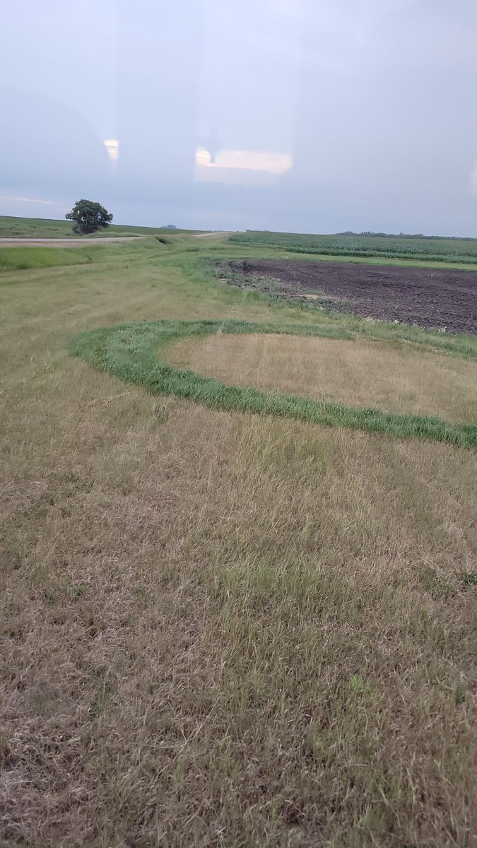 Guess rain came in a weird circle? 🌧