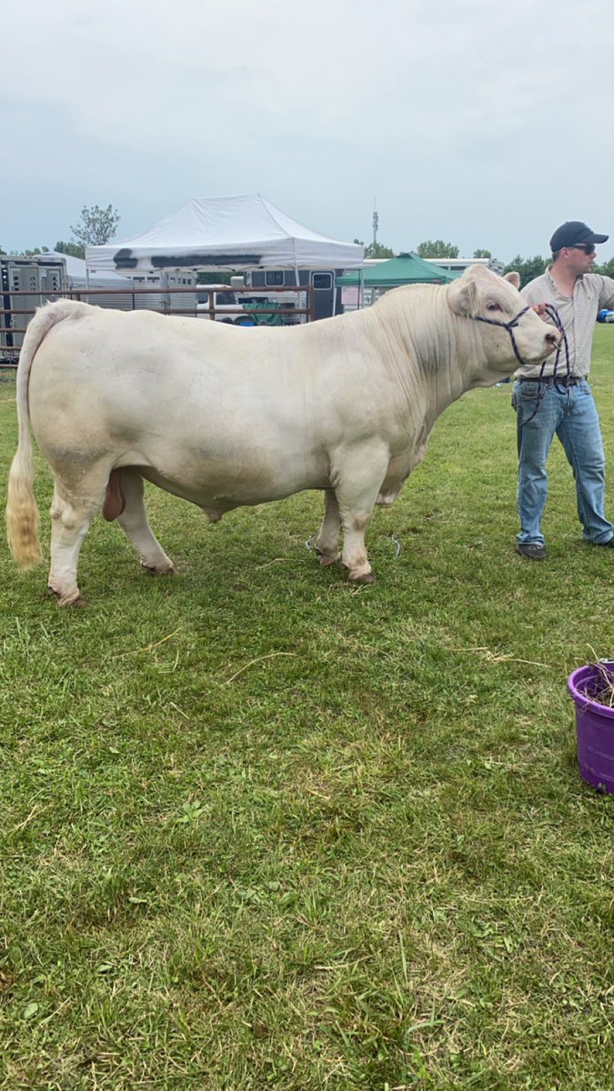 AshBakes tweet media