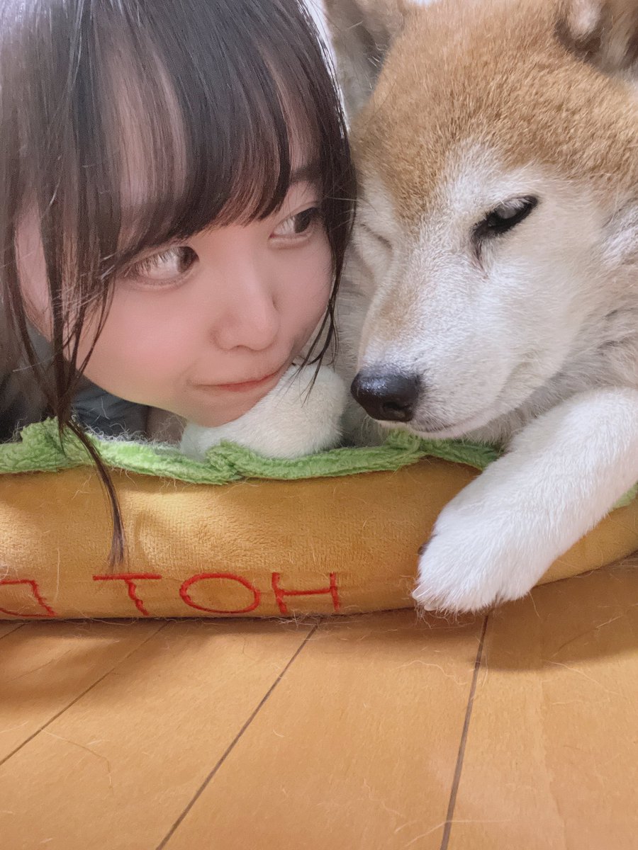 大井りん┊チェンバロ奏者 tweet media