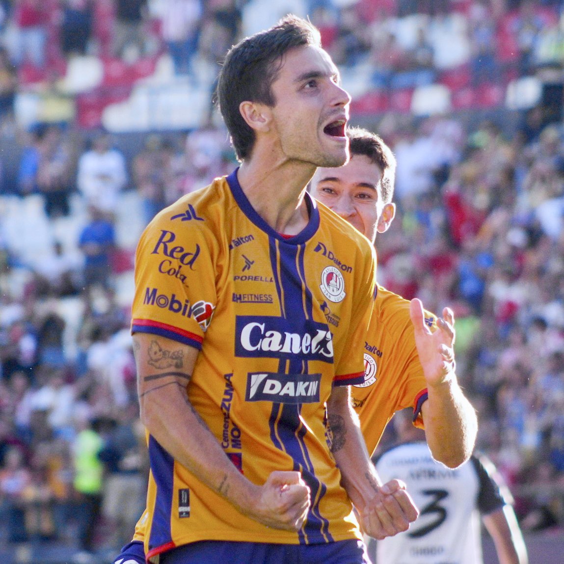 AtletiRules's tweet photo. El #Clásicodela57 es potosino.
Esto es el @AtletideSanLuis. https://t.co/6bm0S7uTjd
